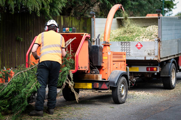 Organic Lawn Care Solutions in Norwalk, IA